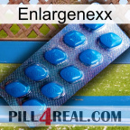 Enlargenexx viagra1